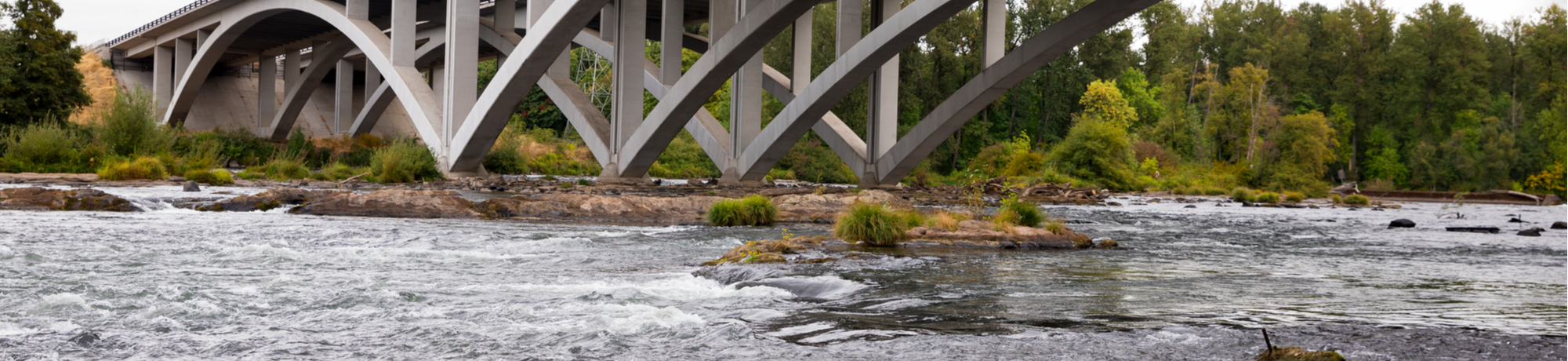 Periodontics | 2567 Cal Young Road Eugene OR 97401